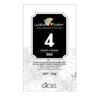 Giesel - Water Color Natural Shades #4 - 100g