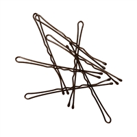 H&R - Matte Bobby Pin 2in Brown 12pc Per Bag